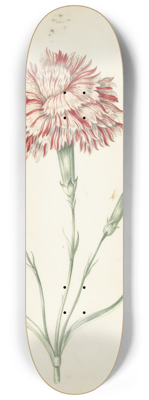 Jacob Marrel - Carnation 8.25 inch art skate deck