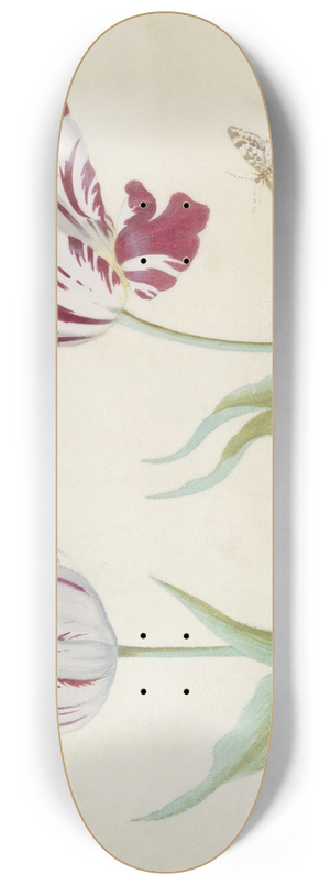 Jacob Marrel - Twee tulpen met vlinder. 8.25 inch art skate deck