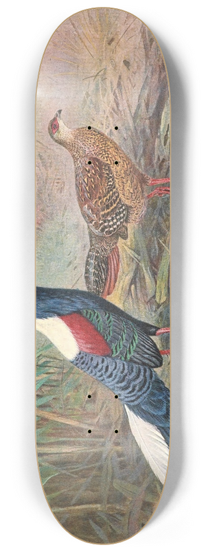 George Edward Lodge - Swinhoes Kaleege 8.25 inch art skate deck