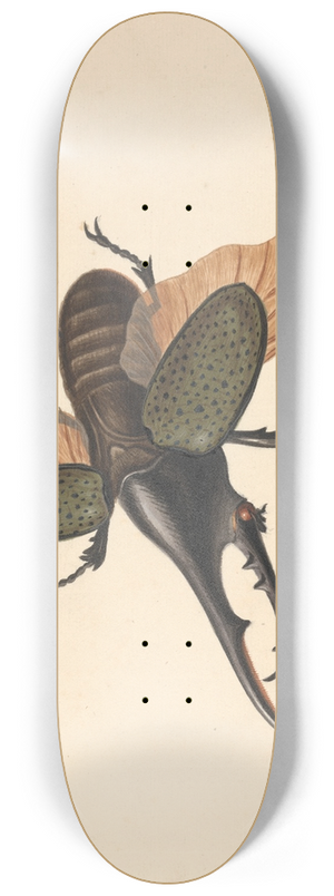 George Edwards - Hercules Beetle 8.25 inch art skate deck