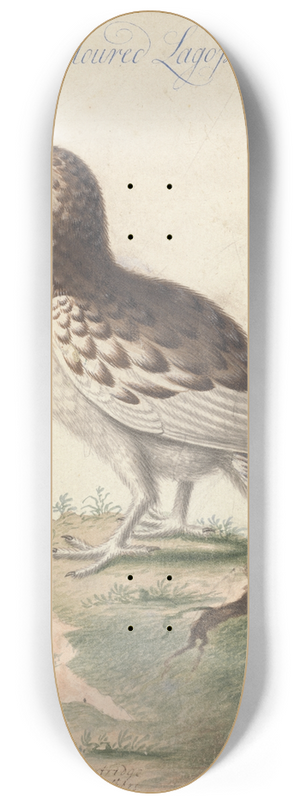 George Edwards - Ptarmigan 8.25 inch art skate deck