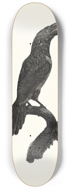 Jacques Barraband - LAracari vert [verd], femelle. 8.25 inch art skate deck
