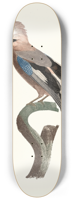 Jacques Barraband - Le Geai dEurope. 8.25 inch art skate deck