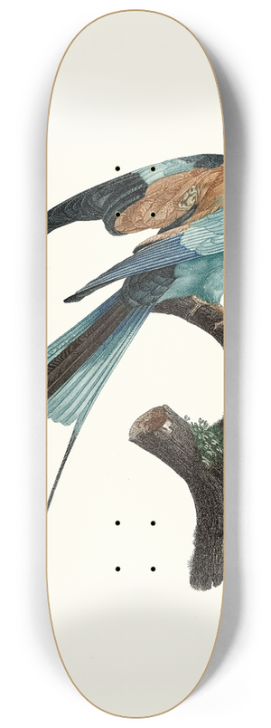 Jacques Barraband - Le Rollier  long brins dAfrique, mle. 8.25 inch art skate deck