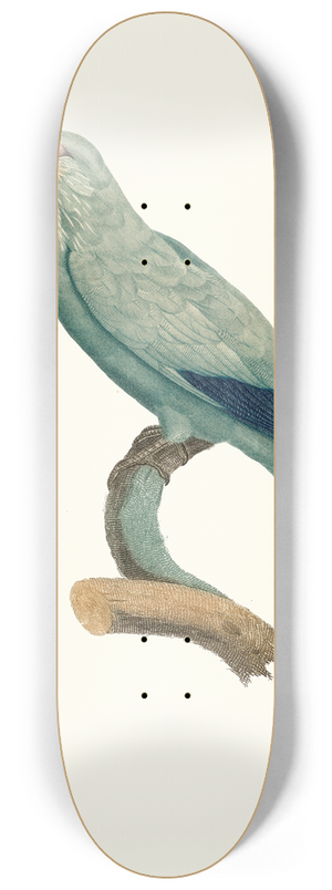 Jacques Barraband - Le Rollier verd. 8.25 inch art skate deck