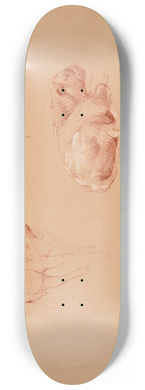 Jacques-Raymond Brascassat - Trois tudes de bufs 8.25 inch art skate deck