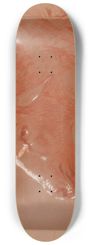 Jacques-Raymond Brascassat - tude de tte de mouton 8.25 inch art skate deck