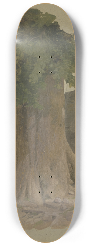 Jakob Becker - Alter Baum an einem Mauerstck 8.25 inch art skate deck