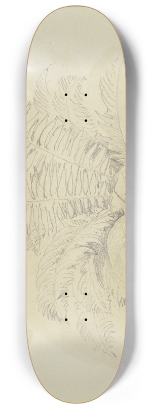 Jakob Becker - Ferns 8.25 inch art skate deck