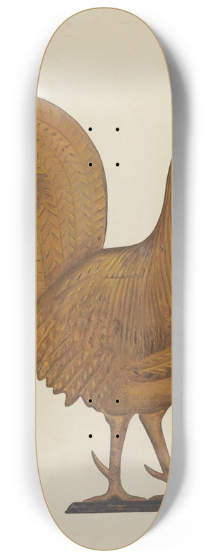 George File - Weather Vane 8.25 inch art skate deck