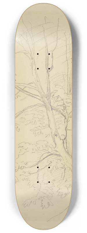 Jakob Becker - Tree 8.25 inch art skate deck