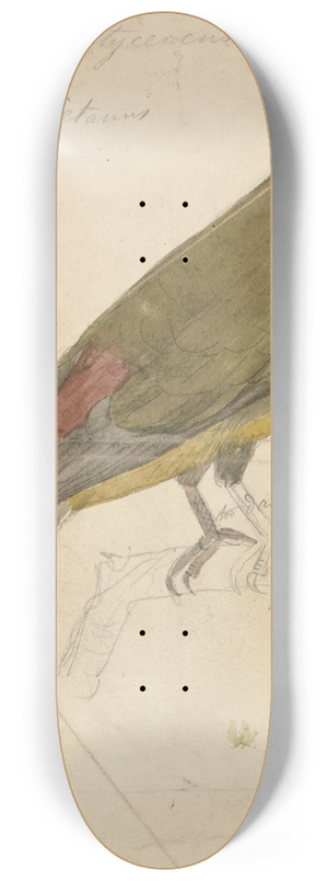 James de Carle Sowerby - A Parrot 8.25 inch art skate deck