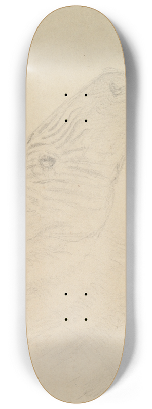 James de Carle Sowerby - Zebra 8.25 inch art skate deck