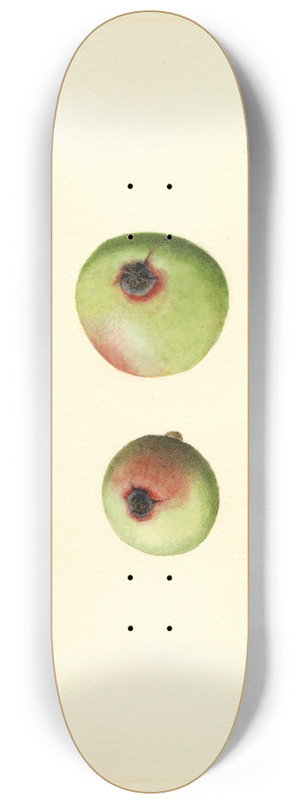 James Marion Shull - Malus domestica: Gano 8.25 inch art skate deck