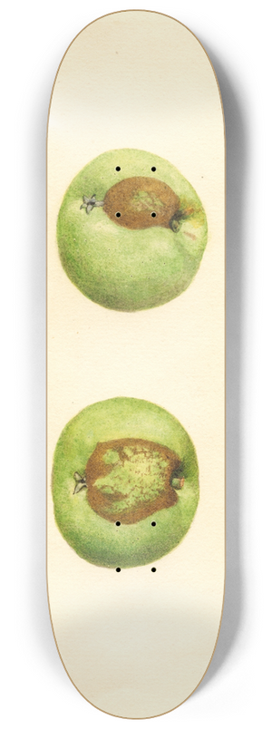 James Marion Shull - Malus domestica: Grimes 8.25 inch art skate deck