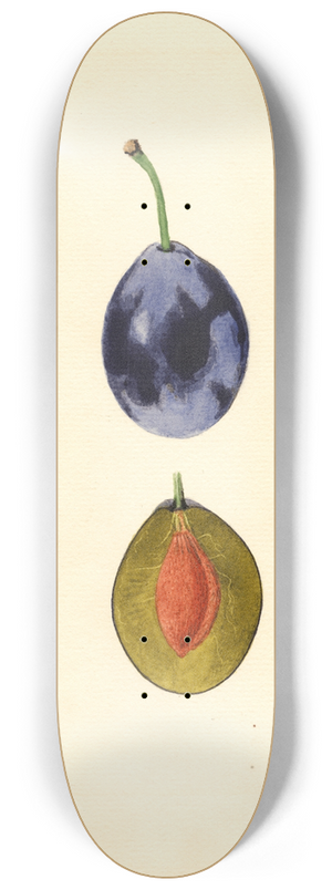 James Marion Shull - Prunus domestica: Stanley 8.25 inch art skate deck