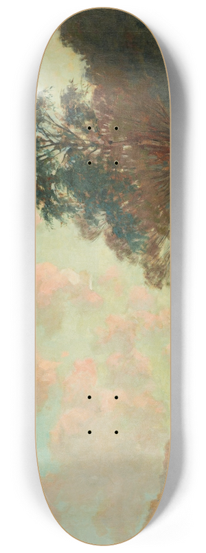 James Nairn - Hutt River 8.25 inch art skate deck