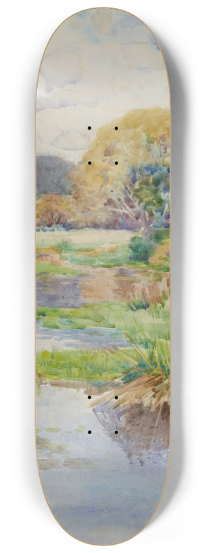 James Nairn - Silverstream 8.25 inch art skate deck