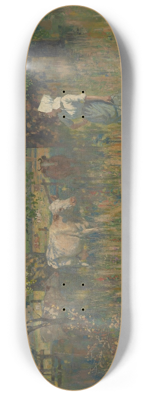 James Nairn - Tess 8.25 inch art skate deck