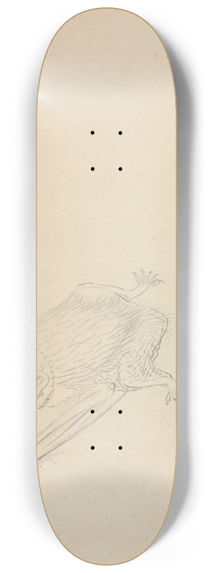 James Sowerby - A Barbastelle Bat 8.25 inch art skate deck