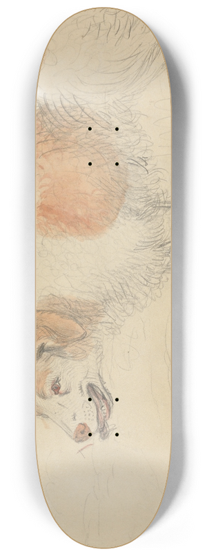 James Sowerby - A Dog 3 8.25 inch art skate deck