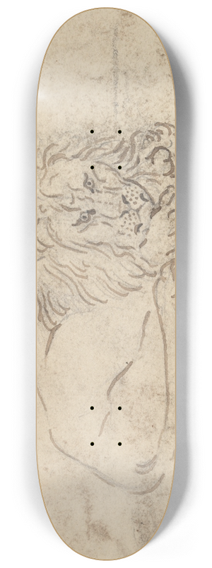 James Sowerby - A Lion 8.25 inch art skate deck