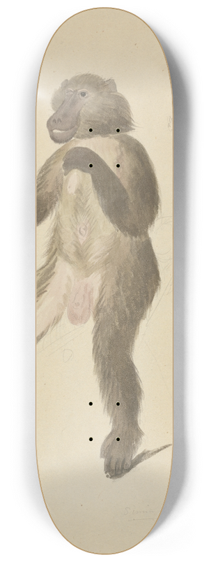 James Sowerby - A mandrill 8.25 inch art skate deck