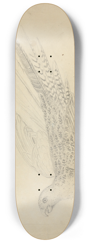 James Sowerby - A Parrot 2 8.25 inch art skate deck
