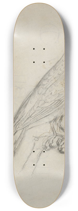 James Sowerby - A Parrot 8.25 inch art skate deck