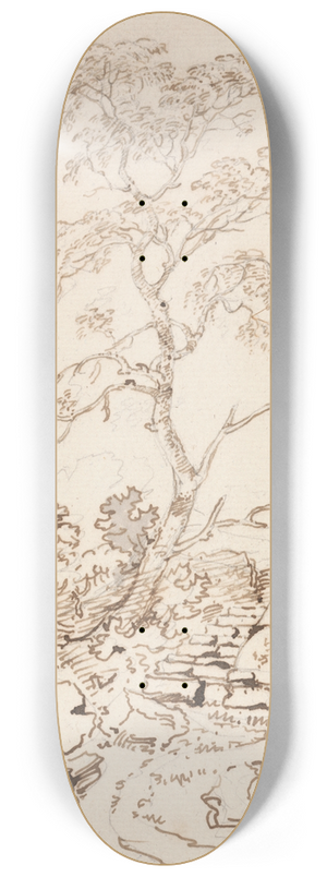 George Howland Beaumont - Tree by Steps 8.25 inch art skate deck