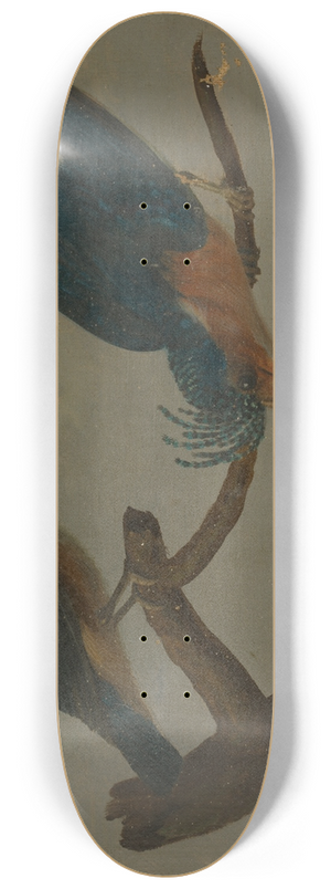 James Sowerby - Two Kingfishers beside a Lake. 8.25 inch art skate deck