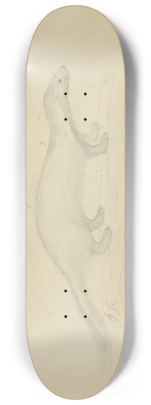 James Sowerby - Two Weasels 8.25 inch art skate deck