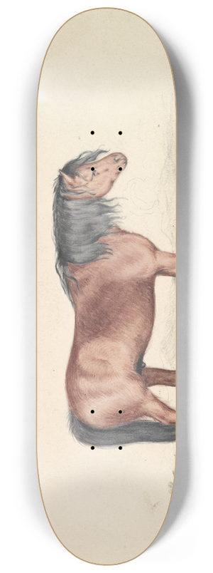James Stewart - Shetland Pony 8.25 inch art skate deck