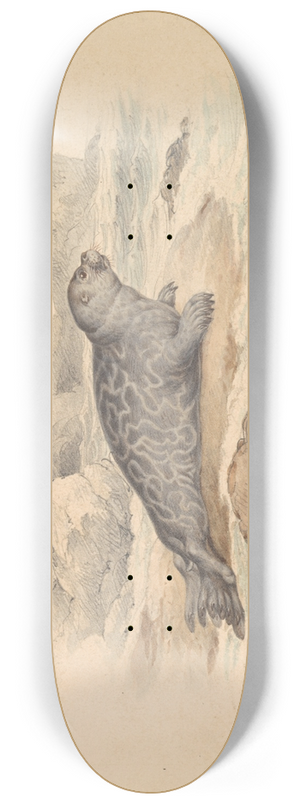 James Stewart - The Ringed Seal 8.25 inch art skate deck