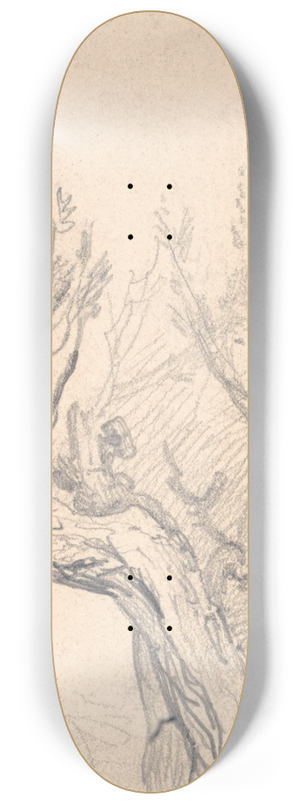 James Ward - A Gnarled Tree 8.25 inch art skate deck