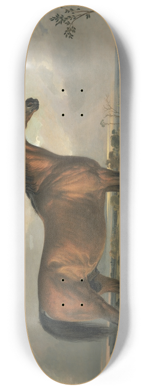 James Ward - Eagle, a Celebrated Stallion 8.25 inch art skate deck