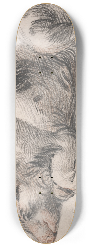 James Ward - Sleeping Pig 8.25 inch art skate deck