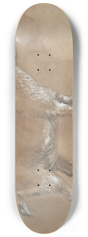 James Ward - Study of a Kid 8.25 inch art skate deck