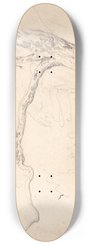 James Ward - Tree Study 8.25 inch art skate deck