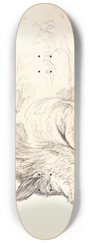 James Ward - Wild Boar 8.25 inch art skate deck