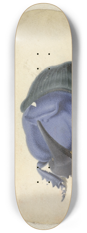Jan Augustin van der Goes - Blauwe kever 8.25 inch art skate deck