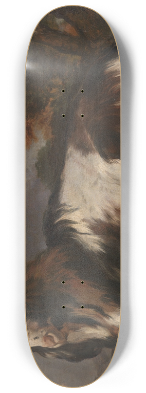 Jan Baptist Weenix - Goat Lying Down 8.25 inch art skate deck