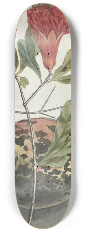 Jan Brandes - Granaatappel en bloesem 8.25 inch art skate deck