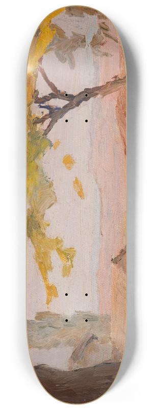 Jan Cigliski - Bursa (A View) 8.25 inch art skate deck