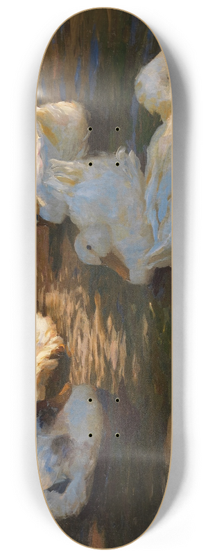 Alexander Koester - 9 Enten im Abendlicht 8.25 inch art skate deck