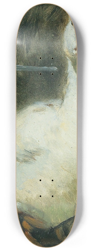 Alexander Koester - Duck 8.25 inch art skate deck