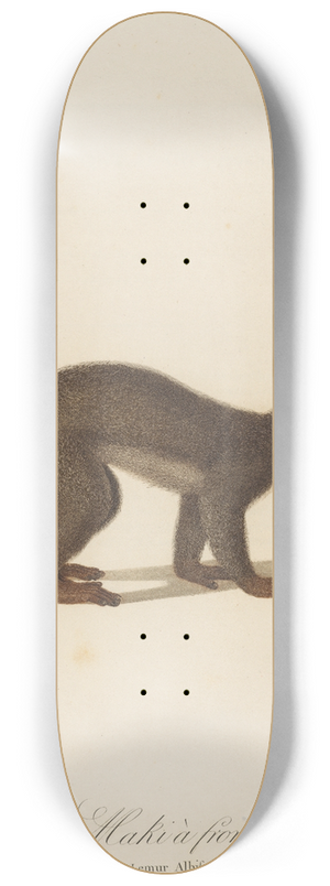 Jean-Baptiste Audebert - Le Maki  front blanc 8.25 inch art skate deck