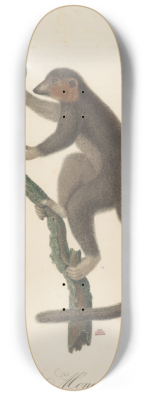 Jean-Baptiste Audebert - Le Mongous 8.25 inch art skate deck