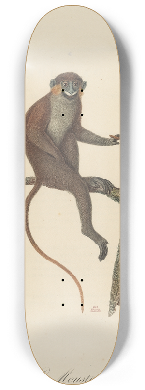 Jean-Baptiste Audebert - Le Moustac 8.25 inch art skate deck