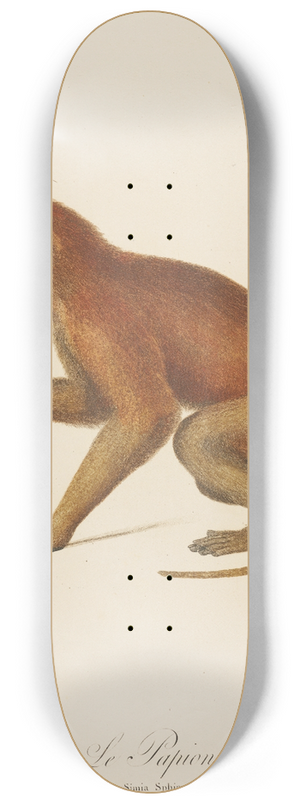 Jean-Baptiste Audebert - Le Papion 8.25 inch art skate deck